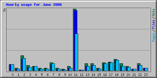 Hourly usage for June 2006