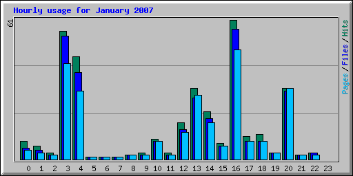 Hourly usage for January 2007