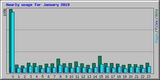 Hourly usage for January 2019