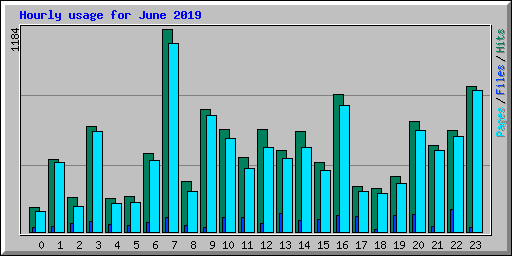 Hourly usage for June 2019
