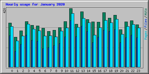 Hourly usage for January 2020