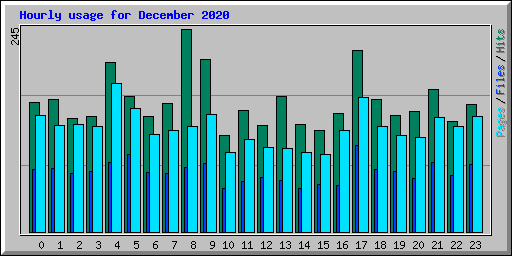 Hourly usage for December 2020